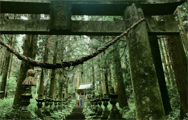 [한국어가이드] 후쿠오카 출발: 구마모토 & 미야자키 일일 버스 투어