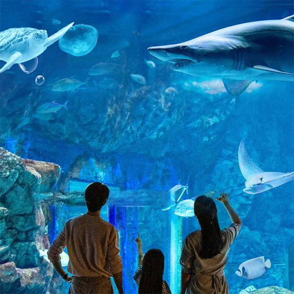 [광교] 아쿠아플라넷 입장권(12/1~12/31)