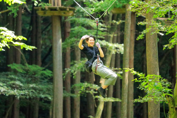 [가나가와] 포레스트 어드벤처 하코네 캐노피 코스