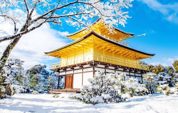 [한국어가이드] 교토 핵심 명소 일일 버스 투어