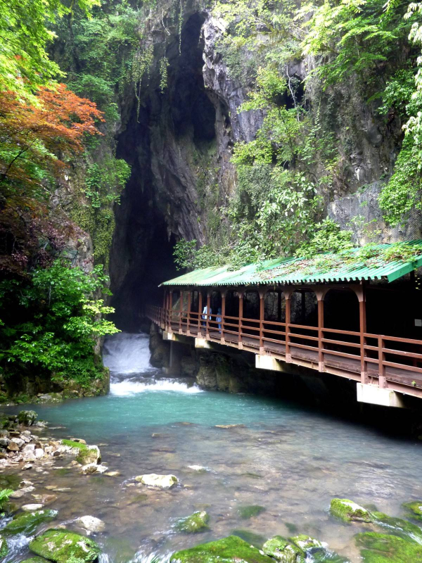 [야마구치] 야마구치현 아키요시 동굴 입장권