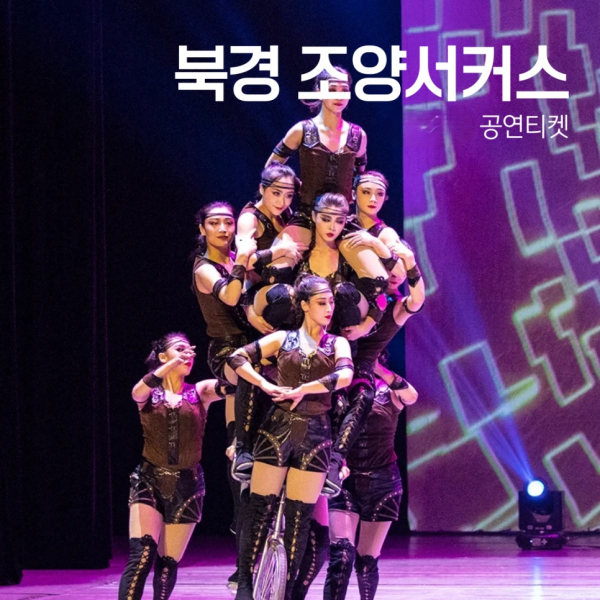 [베이징/북경] 조양서커스