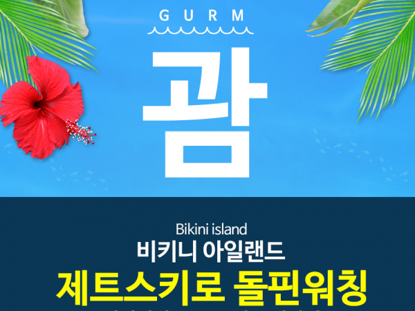 [괌]비키니아일랜드 섬투어