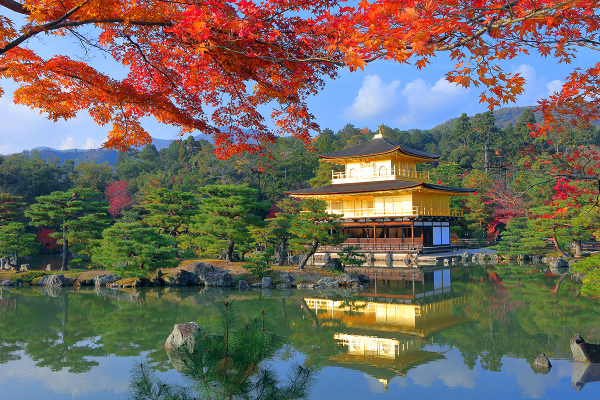 [오사카]오사카 출발 교토 5스팟 1일 버스투어 최소 인원 1명