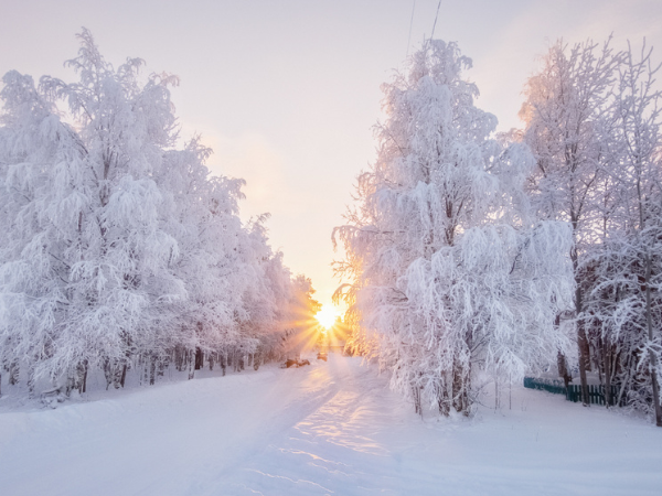 [겨울몽골] 미니사막+테를지 2박3일  A