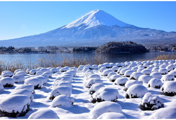[도쿄] 후지산 하코네 및 미술관 코스