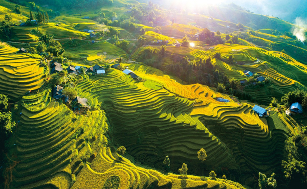 (한국어가이드) 사파 1박 2일 단독 투어 / 하노이 출발