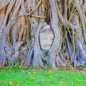 (한국어가이드) 방콕 왕궁 & 아이콘시암 & 워터버스 & 아유타야 단독 투어