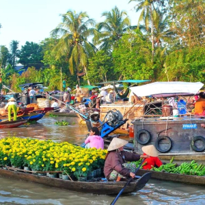 (한국어가이드) 메콩강 단독 투어 / 호치민 출발