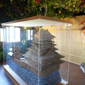 [규슈] 조이 패스