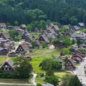 [한국어가이드] 시라카와고 & 다카야마 일일 버스 투어