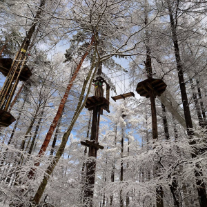 [홋카이도] 포레스트 어드벤처 에니와 체험권 (짚트립 투어)