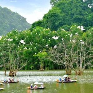 (한국어가이드) 닌빈 항무아 + 빅동 사원 + 뚱냠 단독 투어 / 하노이 출발 