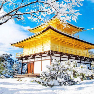 [한국어가이드] 교토 핵심 명소 일일 버스 투어