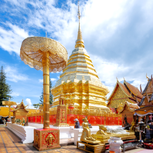 (한국어가이드) 치앙마이 도이수텝 & 왓수안독 & 로얄파크라차프륵 사원 단독 투어