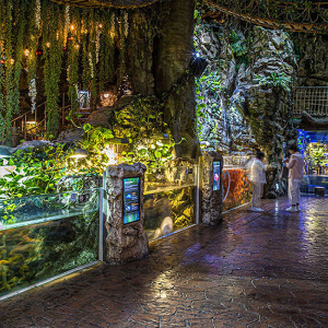 아쿠아플라넷 여수 입장권 (26/01/01~01/31)