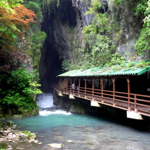 [야마구치] 야마구치현 아키요시 동굴 입장권