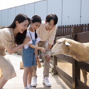 [일산] 아쿠아플라넷 입장권(1/1~1/31)