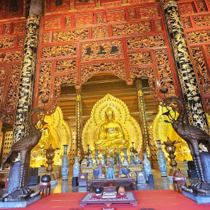 (한국어가이드) 퉁우이 + 바이딘 사원 + 호아루 올드타운 단독투어 / 하노이 출발