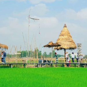 (한국어가이드) 아유타야 실속 단독 투어