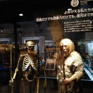 [도쿄]우에노 일본국립과학박물관(지구관) 키즈도슨트