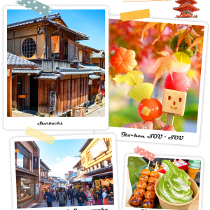 [한국어가이드] 교토 핵심 명소 일일 버스 투어