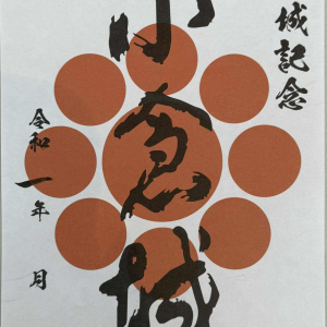 [규슈] 조이 패스