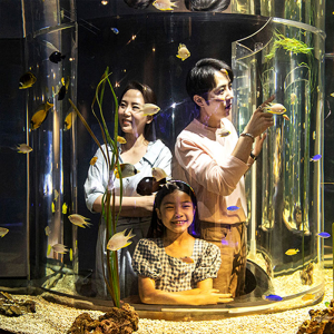 [광교] 아쿠아플라넷 입장권(11/1~11/30)