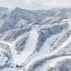 엘리시안 강촌 12월 특가