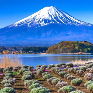 (한국어가이드) 도쿄 후지산 핵심코스 1일 버스투어