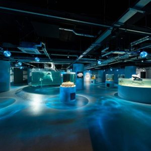 [고베] AQUARIUM×ART 아토아(átoa) 입장권