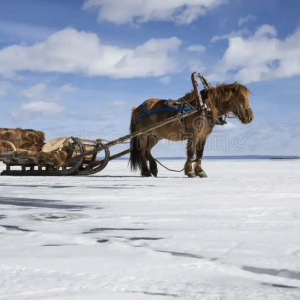 [몽골] 5박6일  볼강/홉스굴/에르데네트/울란바타르 북부 겨울원정대 투어