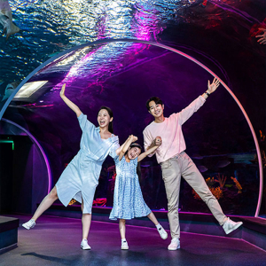 [광교] 아쿠아플라넷 입장권(12/1~12/31)