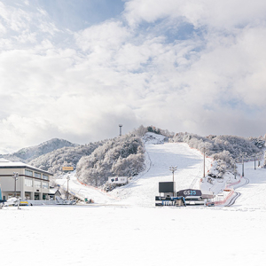 엘리시안 강촌 12월 특가