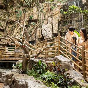 [일산] 아쿠아플라넷 입장권(1/1~1/31)