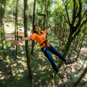 [가나가와] 포레스트 어드벤처 하코네 어드벤처 코스