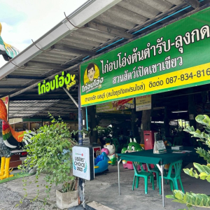 (한국어가이드) 카오키여우 오픈 주 단독 투어 / 방콕 왕복