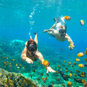 (한국어가이드) 발리 누사페니다 섬 스노클링 투어