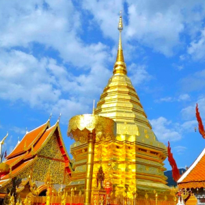 (한국어가이드) 치앙마이 도이수텝 & 왓수안독 & 로얄파크라차프륵 사원 단독 투어