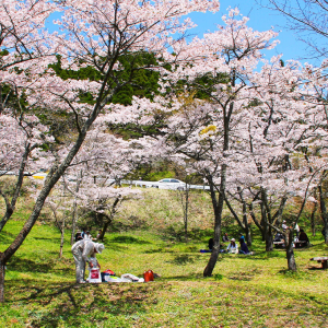 [한국어가이드] 후쿠오카 출발: 구마모토 & 미야자키 일일 버스 투어