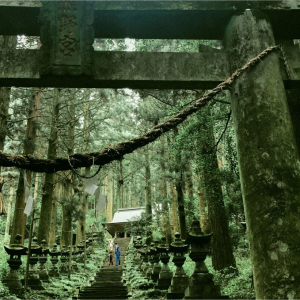 [한국어가이드] 후쿠오카 출발: 구마모토 & 미야자키 일일 버스 투어