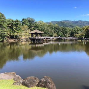 [교토] 나라 교토 1일 버스투어 한국인 가이드