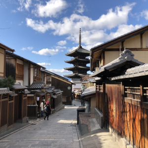 [교토] 나라 교토 1일 버스투어 한국인 가이드