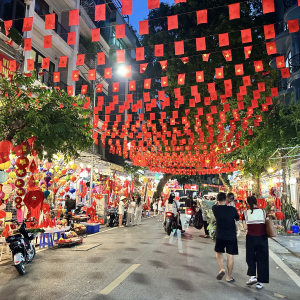 (한국어가이드) 닌빈 짱안 + 하노이 올드 시티 야경 단독 투어 / 하노이 출발