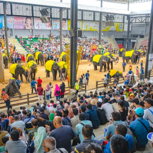 (한국어가이드) 파타야 시티 체크아웃 단독 투어 & 공항 샌딩