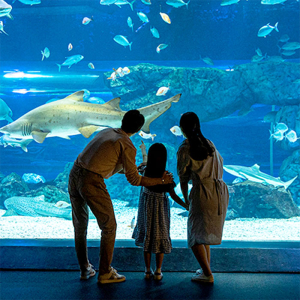 [광교] 아쿠아플라넷 입장권(1/1~1/31)