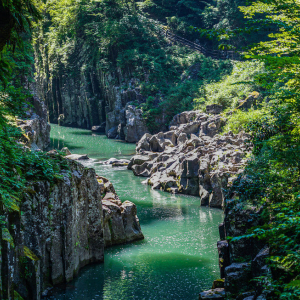 [한국어가이드] 후쿠오카 출발: 구마모토 & 미야자키 일일 버스 투어