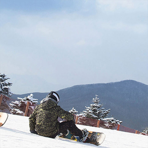 25/26 평창 휘닉스파크 스키학교 강습권