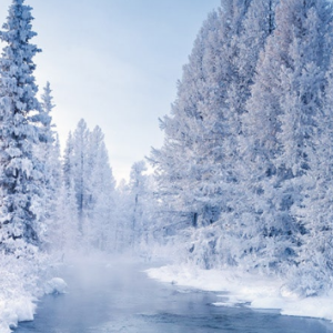 [몽골]  4박 5일 겨울 중부투어