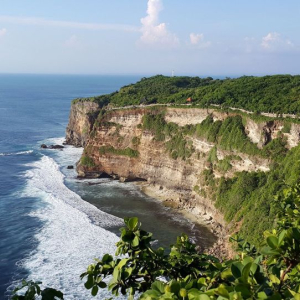 발리 우붓 + 울루와뚜 데이투어
